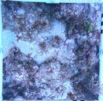 Florida Key_3_24_inner.jpg