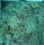 BL_20230701_15 (38).JPG