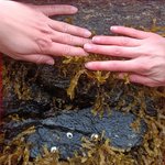 glkro_MC2 20250622 130415_20250622 130914_transformed_20250901_100825.JPG