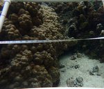 124124_Aug20_MFB2_Algae_15.JPG