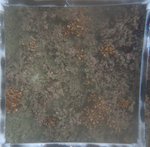 0524 CH E4 T4 (16).JPG