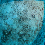 BL_20230826_25 (1).png