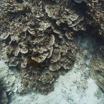 032031 - temples7.jpg