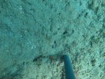 BF1_20151013_MSA068_29.JPG