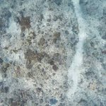 one tree island 2.jpg