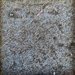 gliqu1_MH9 20250618 124908_20250618 124922_transformed_20250820_121616.JPG