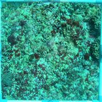 20230830_RH_10 (8).JPG