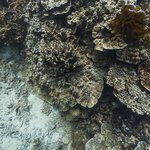 032031 - temples 8.jpg