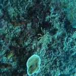 BL_20230826_15 (20).png