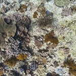 one tree island 15.jpg