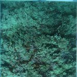 BL_20230701_15 (10).JPG