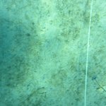 20201124_GRT_T1 (24).JPG