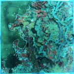 20230907_KS_25 (30).JPG