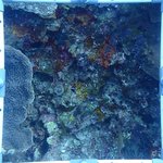 BR_20240606_15 (40).JPG