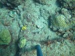 BF1_20151013_MSA068_15.JPG