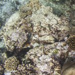 Danger Island 36002128901.jpg