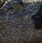 alterinhos_MC3n_20250330 105227.JPG