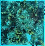 Florida Key_13_24_inner.jpeg