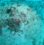 BL_20230701_25_1 (22).JPG