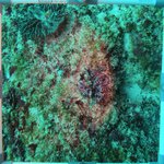 20230830_RH_20 (29).JPG