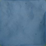 20210407_Sax_Transect 1 (31).JPG