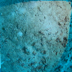 BL_20230826_25 (29).png