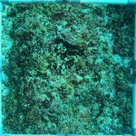 20230830_RH_10 (15).JPG