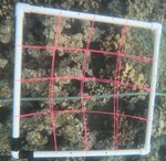 2 - 2021_R1_T1_ Crest_2.JPG