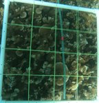 R12-T1-Edge-13 edit.jpg