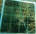 R10-T1-Crest-9 edit.jpg