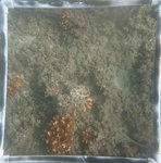 0524 CH E4 T2 (2).JPG