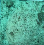 BL_20230701_15 (24).JPG