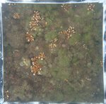 0524 CH E3 T4 (1).JPG