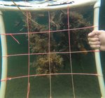 GPTempDownload (1).jpg