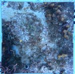 Florida Key_16_24_inner.jpeg