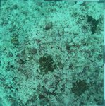 BL_20230701_15 (31).JPG