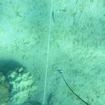 20201124_GRT_T1 (23).JPG