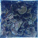 BR_20240606_10 (17).JPG