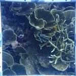 BR_20240606_10 (24).JPG