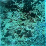 BL_20230701_10 (29).JPG