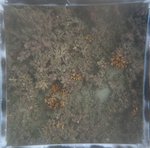 0524 CH E4 T4 (14).JPG