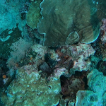 BL_20230826_20 (5).png