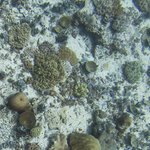 Danger Island 36002104303.jpg