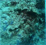 BL_20230701_10 (22).JPG