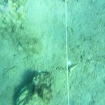 20201124_GRT_T1 (34).JPG