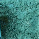 BL_20230826_10 (12).png