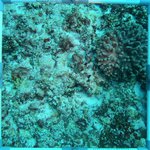 20230830_RH_10 (22).JPG