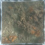 0524 CH E4 T2 (8).JPG