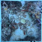 Florida Key_12_24_inner.jpeg