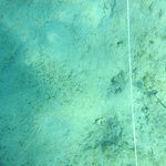 20201124_GRT_T1 (26).JPG